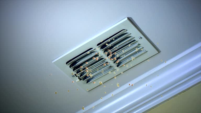 Ductwork Cleaning Services in Cambria, IL