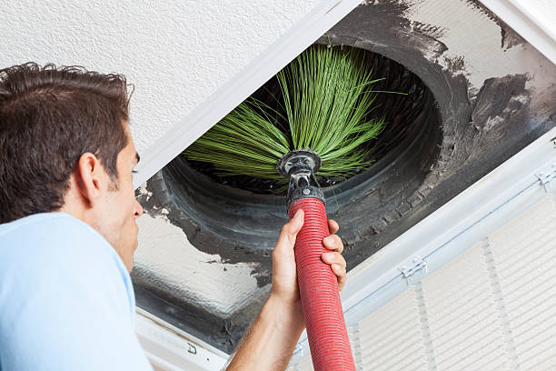 Best Professional Duct Cleaning Services  in Cambria, IL