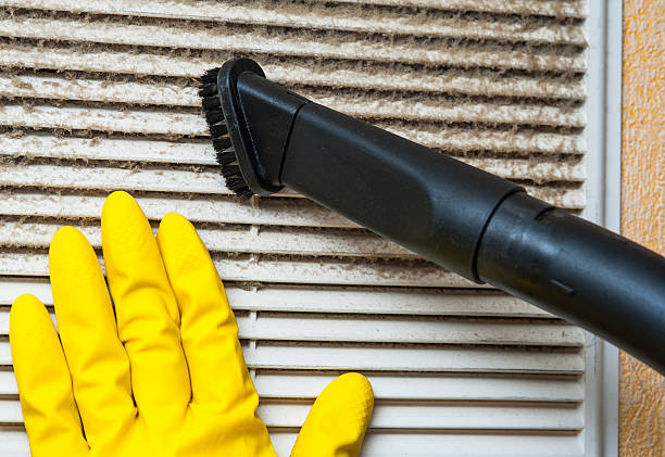 Best Home Air Vent Cleaning  in Cambria, IL